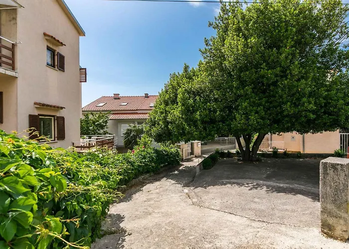 In 39075 セルツェ